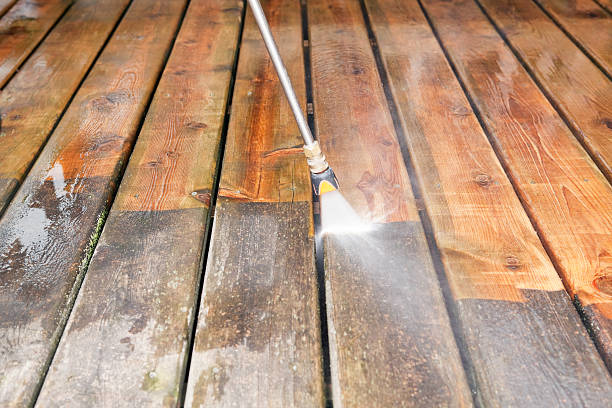 Best Driveway Pressure Washing  in Forest Heights, TX